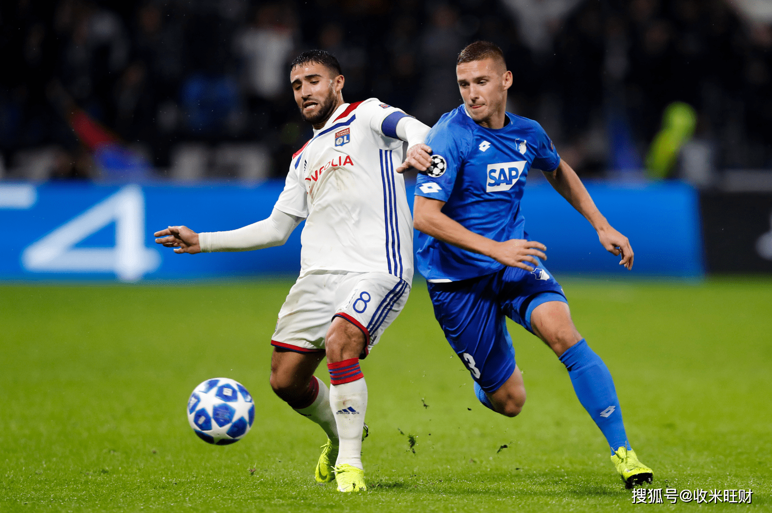 关于浙江队迎法甲关键赛;国际比赛日伤情更新;媒体盛赞;团队化学反应显著的信息 关于浙江队迎法甲关键赛;国际比赛日伤情更新;媒体盛赞;团队化学反应显著的信息